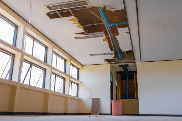 Best Ceiling water damage repair  in Wewa, OK