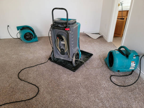 Best Water damage restoration experts  in Wewa, OK