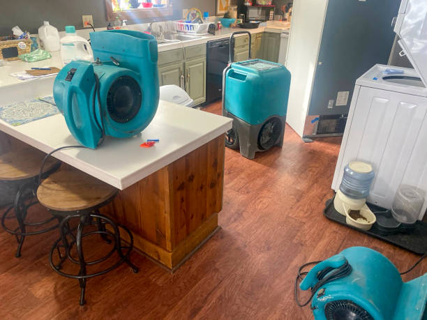 Best Local water damage restoration  in Wewa, OK
