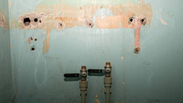 Best Sewage cleanup and water damage restoration  in Wewa, OK