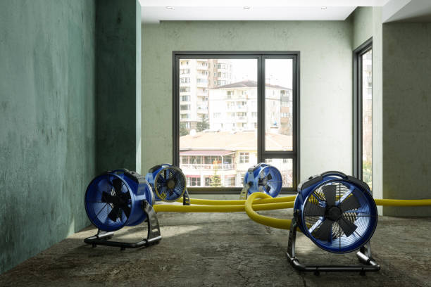 Best Water damage cleanup near me  in Wewa, OK