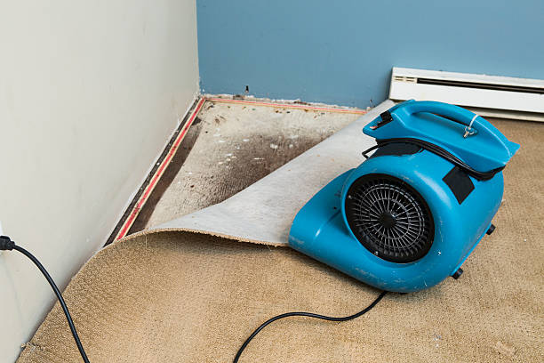 Best Water damage restoration insurance claims  in Wewa, OK